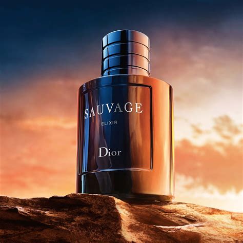 dior sauvage base notes|dior sauvage elixir sizes.